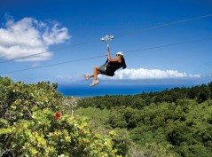 5 Days & 8 Days Adventure in the Seychelles