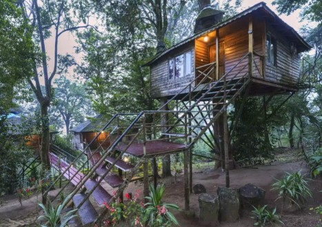 Tree House Stay in Jungles of Madhya Pradesh